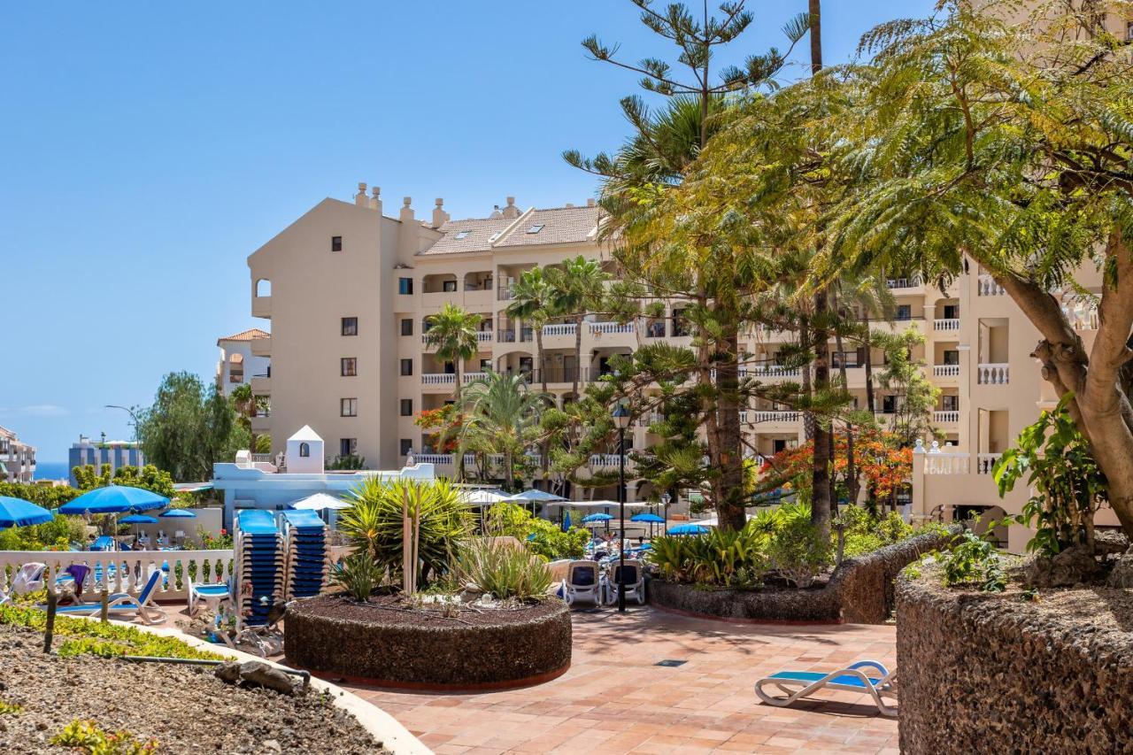 Castle Harbour Cozy Studio Heated Pool Los Cristianos Lovetenerife 아로나 외부 사진