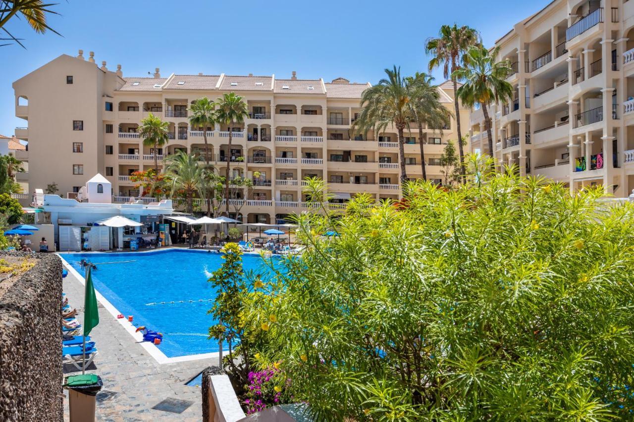 Castle Harbour Cozy Studio Heated Pool Los Cristianos Lovetenerife 아로나 외부 사진